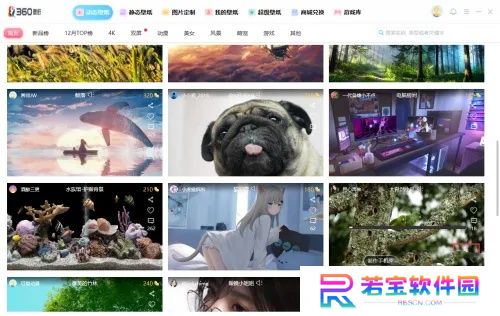 小鸟动态壁纸官方正版