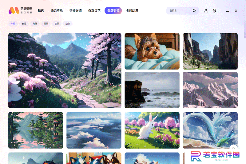 芒果壁纸标准版