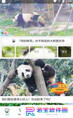 熊猫频道app下载