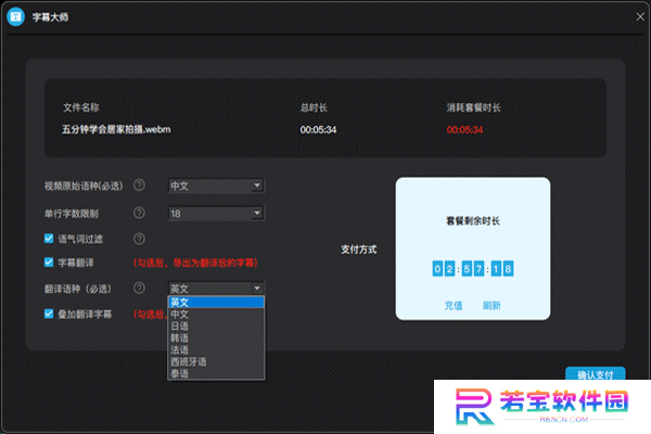 字幕大师专业版
