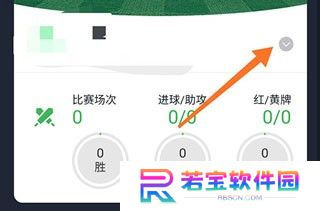 绿茵场app下载