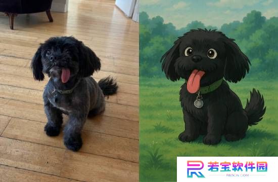 本站