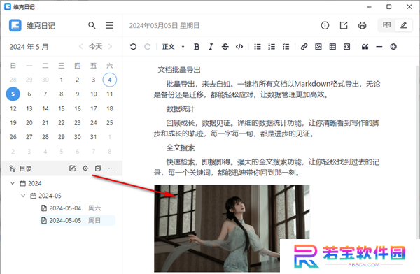 维克日记电脑版