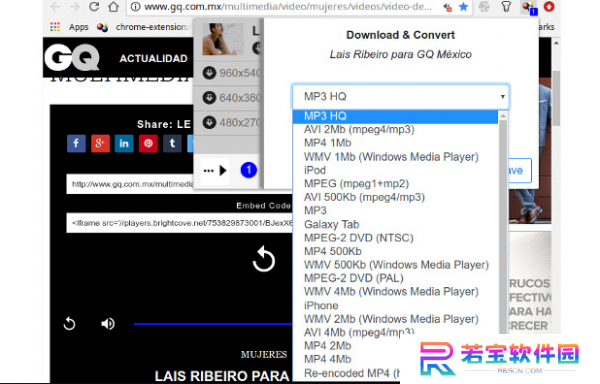 Video DownloadHelper桌面版