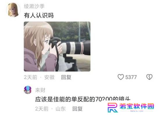 本站