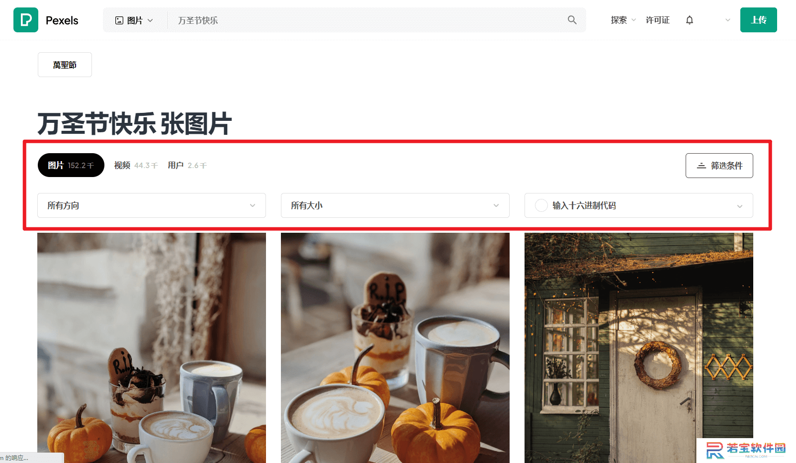 Pexels免费照片库电脑版