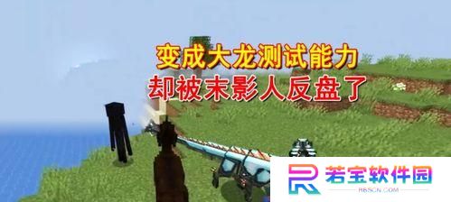 我的世界龙吃什么补血,揭秘其补血食物与繁殖奥秘