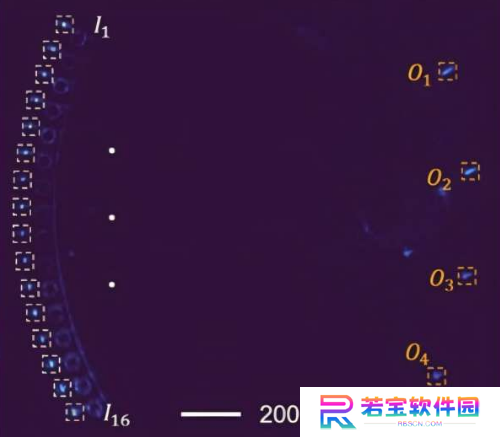 可编程芯片首次用光训练神经网络