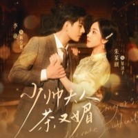 少帅夫人茶又媚短剧免费全集观看app下载(多多追剧)
