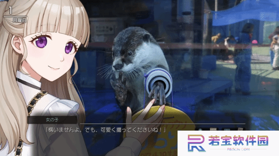 本站