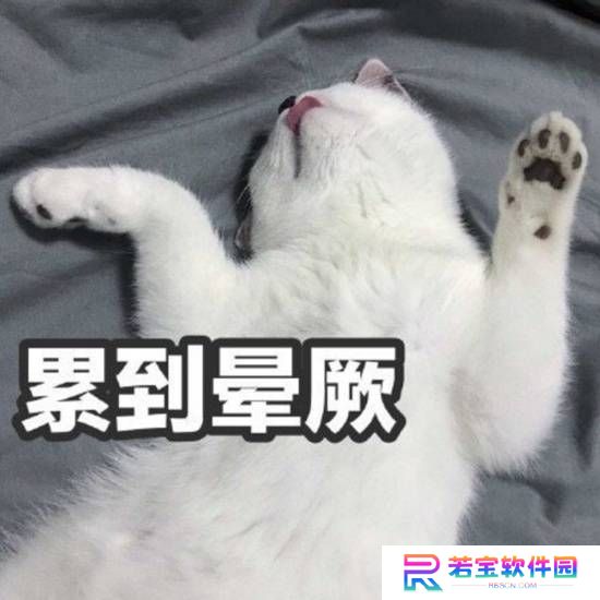 本站