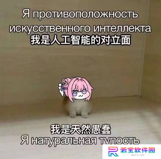 本站