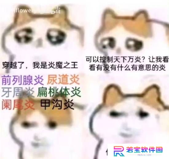 本站