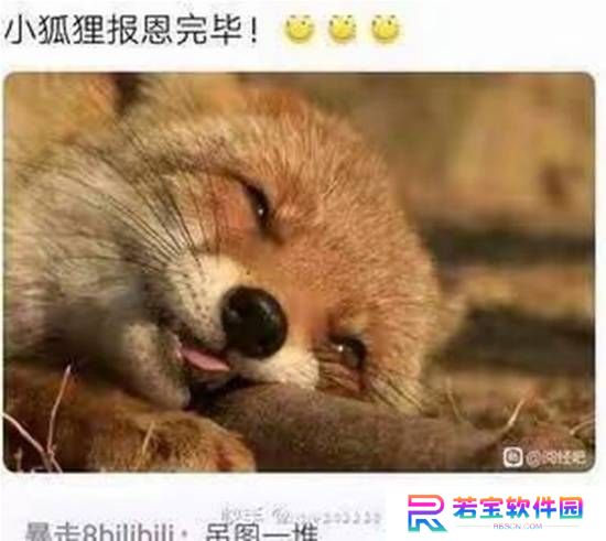 本站