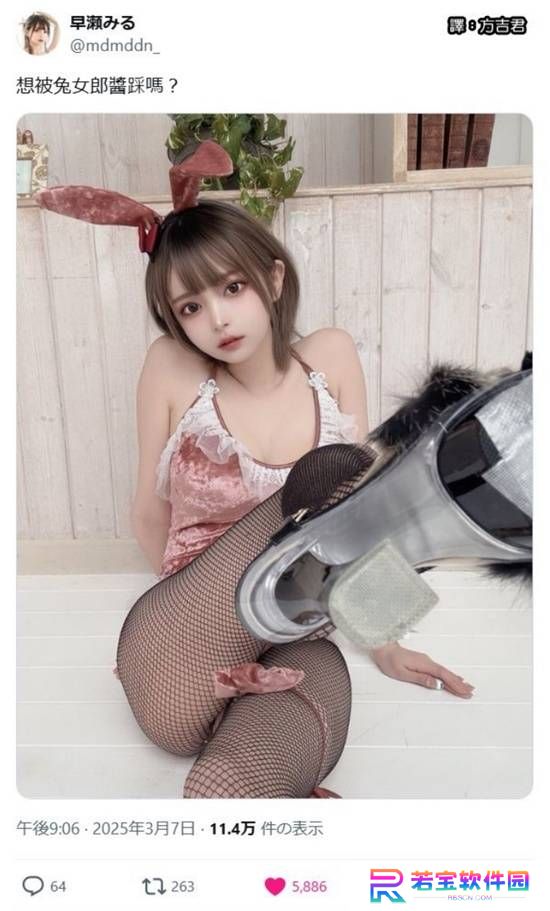 本站