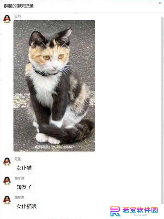 本站
