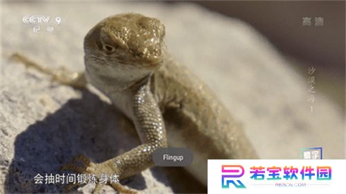星火电视直播TV