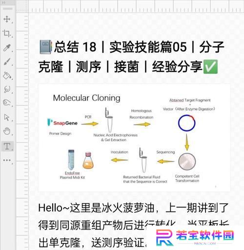 克隆装备技能选择攻略（充分利用克隆技能，打造最强装备）