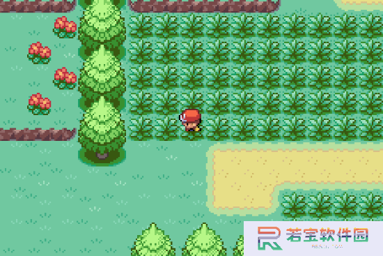 本站