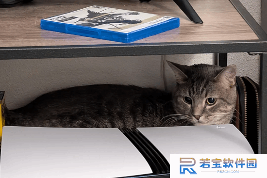 本站