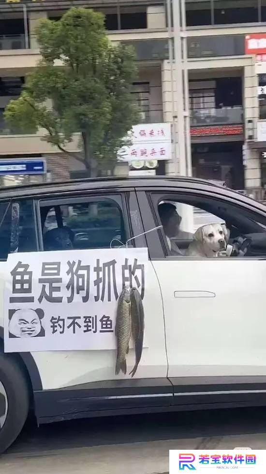 本站
