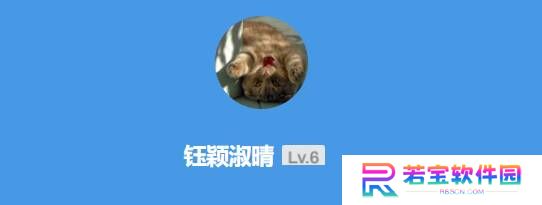 本站