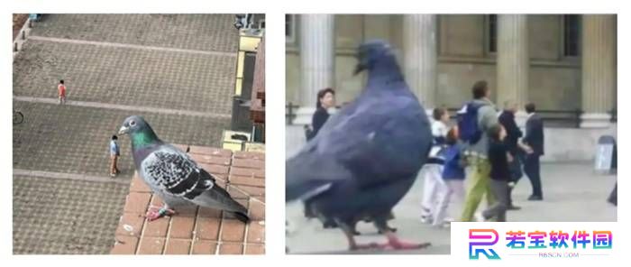 本站